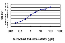 TTN / Titin Antibody - Detection limit for recombinant GST tagged TTN is approximately 0.03 ng/ml as a capture antibody.