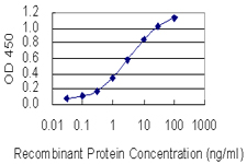 TTPA Antibody - Detection limit for recombinant GST tagged TTPA is 0.03 ng/ml as a capture antibody.