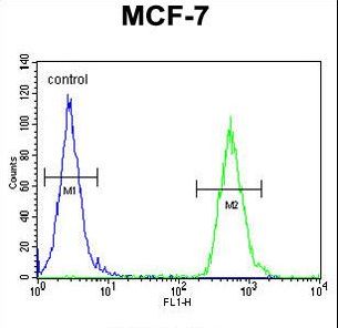 TTPAL / C20orf121 Antibody - TTPAL Antibody flow cytometry of MCF-7 cells (right histogram) compared to a negative control cell (left histogram). FITC-conjugated goat-anti-rabbit secondary antibodies were used for the analysis.