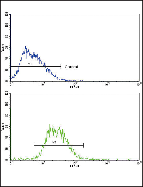 TTR / Transthyretin Antibody - TTR Antibody flow cytometry of HepG2 cells (bottom histogram) compared to a negative control cell (top histogram). FITC-conjugated goat-anti-rabbit secondary antibodies were used for the analysis.