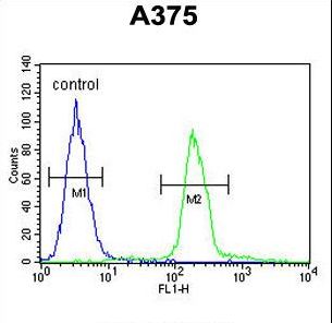 TTR / Transthyretin Antibody - TTR Antibody flow cytometry of A375 cells (right histogram) compared to a negative control cell (left histogram). FITC-conjugated goat-anti-rabbit secondary antibodies were used for the analysis.