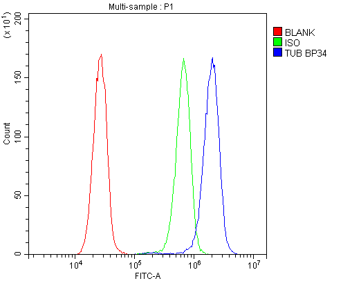 TUB / Tubby Antibody - Flow Cytometry analysis of HeLa cells using anti-TUB 1 antibody. Overlay histogram showing HeLa cells stained with anti-TUB 1 antibody (Blue line). The cells were blocked with 10% normal goat serum. And then incubated with rabbit anti-TUB 1 Antibody (1µg/10E6 cells) for 30 min at 20°C. DyLight®488 conjugated goat anti-rabbit IgG (5-10µg/10E6 cells) was used as secondary antibody for 30 minutes at 20°C. Isotype control antibody (Green line) was rabbit IgG (1µg/10E6 cells) used under the same conditions. Unlabelled sample (Red line) was also used as a control.