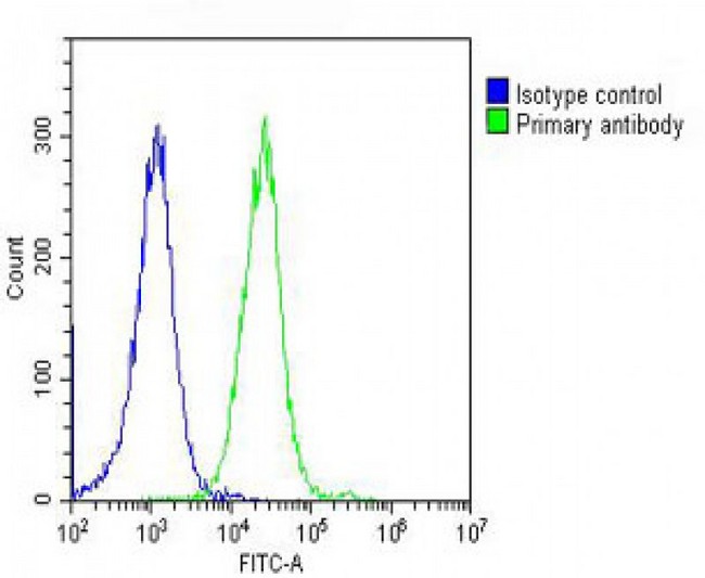 TUBA1B / Tubulin Alpha 1B Antibody - Overlay histogram showing Hela cells stained with alpha Tubulin Antibody (green line). The cells were fixed with 2% paraformaldehyde (10 min) and then permeabilized with 90% methanol for 10 min. The cells were then icubated in 2% bovine serum albumin to block non-specific protein-protein interactions followed by the antibody (alpha Tubulin Antibody, 1:25 dilution) for 60 min at 37°C. The secondary antibody used was Goat-Anti-Rabbit IgG, DyLight® 488 Conjugated Highly Cross-Adsorbed at 1/200 dilution for 40 min at 37°C. Isotype control antibody (blue line) was rabbit IgG (1µg/1x10^6 cells) used under the same conditions. Acquisition of >10, 000 events was performed.