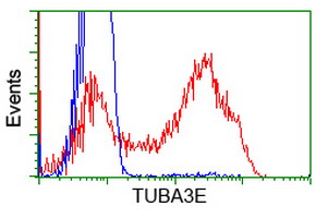 TUBA3E / Tubulin Alpha 3E Antibody - HEK293T cells transfected with either overexpress plasmid (Red) or empty vector control plasmid (Blue) were immunostained by anti-TUBA3E antibody, and then analyzed by flow cytometry.