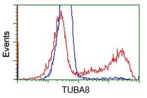 TUBA8 / Tubulin Alpha 8 Antibody - HEK293T cells transfected with either overexpress plasmid (Red) or empty vector control plasmid (Blue) were immunostained by anti-TUBA8 antibody, and then analyzed by flow cytometry.