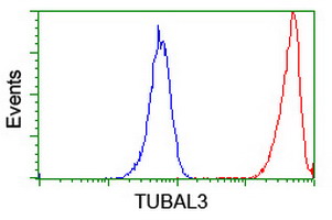 TUBAL3 Antibody - Flow cytometry of Jurkat cells, using anti-TUBAL3 antibody (Red), compared to a nonspecific negative control antibody (Blue).