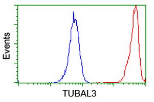 TUBAL3 Antibody - Flow cytometry of Jurkat cells, using anti-TUBAL3 antibody (Red), compared to a nonspecific negative control antibody (Blue).