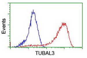 TUBAL3 Antibody - Flow cytometry of HeLa cells, using anti-TUBAL3 antibody (Red), compared to a nonspecific negative control antibody (Blue).