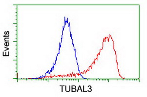 TUBAL3 Antibody - Flow cytometry of HeLa cells, using anti-TUBAL3 antibody (Red), compared to a nonspecific negative control antibody (Blue).