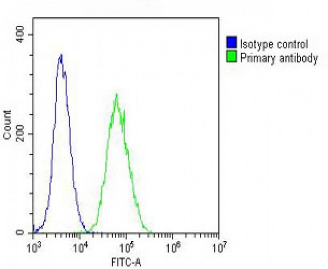 TUBB2A / Tubulin Beta 2A Antibody - Overlay histogram showing NIH/3T3 cells stained with beta II Tubulin Antibody (green line). The cells were fixed with 2% paraformaldehyde (10 min) and then permeabilized with 90% methanol for 10 min. The cells were then icubated in 2% bovine serum albumin to block non-specific protein-protein interactions followed by the antibody (beta II Tubulin Antibody, 1:25 dilution) for 60 min at 37°C. The secondary antibody used was Goat-Anti-Rabbit IgG, DyLight® 488 Conjugated Highly Cross-Adsorbed at 1/200 dilution for 40 min at 37°C. Isotype control antibody (blue line) was rabbit IgG (1µg/1x10^6 cells) used under the same conditions. Acquisition of >10, 000 events was performed.