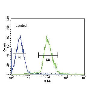 TUBB3 / Tubulin Beta 3 Antibody - TUBB3 Antibody flow cytometry of HepG2 cells (right histogram) compared to a negative control cell (left histogram). FITC-conjugated goat-anti-rabbit secondary antibodies were used for the analysis.