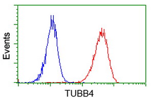 TUBB4 / Tubulin Beta 4 Antibody - Flow cytometry of Jurkat cells, using anti-TUBB4 antibody (Red), compared to a nonspecific negative control antibody (Blue).