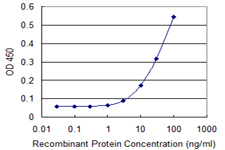 Tuberin / TSC2 Antibody - Detection limit for recombinant GST tagged TSC2 is 1 ng/ml as a capture antibody.