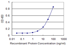 TUFT1 Antibody - Detection limit for recombinant GST tagged TUFT1 is 1 ng/ml as a capture antibody.