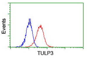 TULP3 Antibody - Flow cytometry of Jurkat cells, using anti-TULP3 antibody (Red), compared to a nonspecific negative control antibody (Blue).