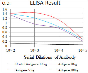 TUP1 Antibody - Red: Control Antigen (100ng); Purple: Antigen (10ng); Green: Antigen (50ng); Blue: Antigen (100ng);