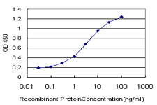 TWF1 / PTK9 Antibody - Detection limit for recombinant GST tagged PTK9 is approximately 0.1 ng/ml as a capture antibody.