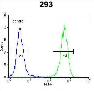 TWF2 / PTK9L Antibody - PTK9L Antibody flow cytometry of 293 cells (right histogram) compared to a negative control cell (left histogram). FITC-conjugated goat-anti-rabbit secondary antibodies were used for the analysis.
