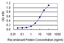 TWIK1 / KCNK1 Antibody - Detection limit for recombinant GST tagged KCNK1 is 0.1 ng/ml as a capture antibody.