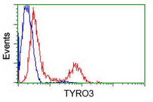 TYRO3 Antibody - HEK293T cells transfected with either overexpress plasmid (Red) or empty vector control plasmid (Blue) were immunostained by anti-TYRO3 antibody, and then analyzed by flow cytometry.