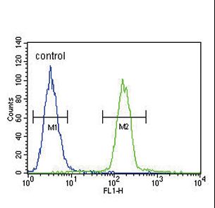 Tyrosinase Antibody - Tyrosinase Antibody flow cytometry of A375 cells (right histogram) compared to a negative control cell (left histogram). FITC-conjugated goat-anti-rabbit secondary antibodies were used for the analysis.
