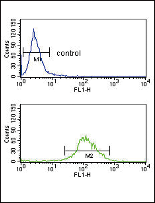 Tyrosine Aminotransferase Antibody - TAT Antibody flow cytometry of K562 cells (bottom histogram) compared to a negative control cell (top histogram). FITC-conjugated goat-anti-rabbit secondary antibodies were used for the analysis.