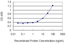 UAP1 Antibody - Detection limit for recombinant GST tagged UAP1 is 1 ng/ml as a capture antibody.