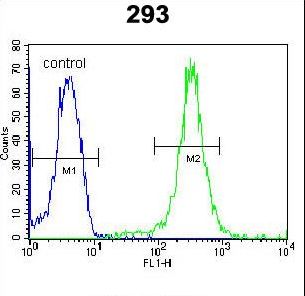 UBAC2 Antibody - UBAC2 Antibody flow cytometry of 293 cells (right histogram) compared to a negative control cell (left histogram). FITC-conjugated goat-anti-rabbit secondary antibodies were used for the analysis.