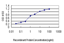 UBB / Ubiquitin B Antibody - Detection limit for recombinant GST tagged UBB is approximately 0.03 ng/ml as a capture antibody.