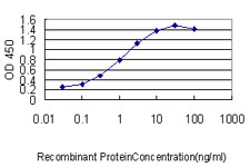 UBCH / UBE2H Antibody - Detection limit for recombinant GST tagged UBE2H is approximately 0.03 ng/ml as a capture antibody.