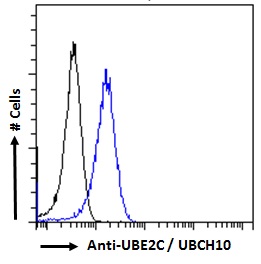 UBCH10 / UBE2C Antibody - UBCH10 / UBE2C antibody flow cytometric analysis of paraformaldehyde fixed HeLa cells (blue line), permeabilized with 0.5% Triton. Primary incubation 1hr (10ug/ml) followed by Alexa Fluor 488 secondary antibody (2ug/ml). IgG control: Unimmunized goat IgG (black line) followed by Alexa Fluor 488 secondary antibody.