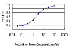 UBE2E2 / UBCH8 Antibody - Detection limit for recombinant GST tagged UBE2E2 is approximately 0.03 ng/ml as a capture antibody.