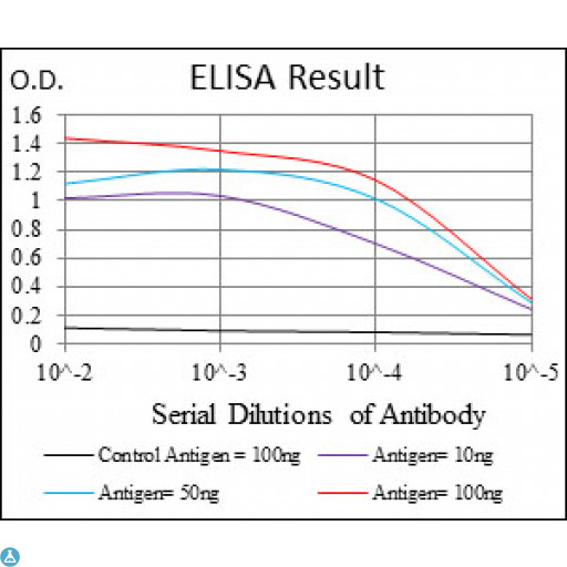 UBE2I / UBC9 Antibody - ELISA analysis of UBC9 antibody.