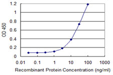 UBE2N / UBC13 Antibody - Detection limit for recombinant GST tagged UBE2N is 0.3 ng/ml as a capture antibody.