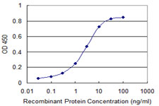 UBE2S / E2 EPF Antibody - Detection limit for recombinant GST tagged UBE2S is 0.03 ng/ml as a capture antibody.