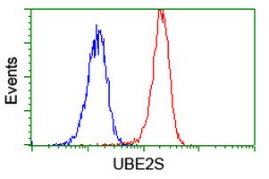 UBE2S / E2 EPF Antibody - Flow cytometry of Jurkat cells, using anti-UBE2S antibody (Red), compared to a nonspecific negative control antibody (Blue).