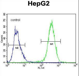 UBFD1 Antibody - UBFD1 Antibody flow cytometry of HepG2 cells (right histogram) compared to a negative control cell (left histogram). FITC-conjugated goat-anti-rabbit secondary antibodies were used for the analysis.