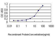 UBL3 Antibody - Detection limit for recombinant GST tagged UBL3 is approximately 1 ng/ml as a capture antibody.