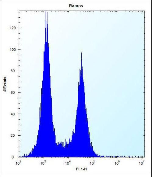 UBN2 Antibody - UBN2 Antibody flow cytometry of Ramos cells (right histogram) compared to a negative control cell (left histogram). FITC-conjugated donkey-anti-rabbit secondary antibodies were used for the analysis.