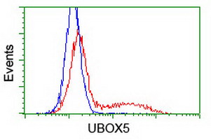 UBOX5 Antibody - HEK293T cells transfected with either overexpress plasmid (Red) or empty vector control plasmid (Blue) were immunostained by anti-UBOX5 antibody, and then analyzed by flow cytometry.
