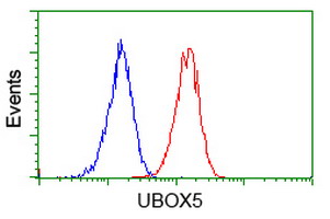 UBOX5 Antibody - Flow cytometry of Jurkat cells, using anti-UBOX5 antibody (Red), compared to a nonspecific negative control antibody (Blue).