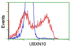 UBXN10 Antibody - HEK293T cells transfected with either overexpress plasmid (Red) or empty vector control plasmid (Blue) were immunostained by anti-UBXN10 antibody, and then analyzed by flow cytometry.