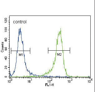 UCHL1 / PGP9.5 Antibody - UCHL1 Antibody flow cytometry of NCI-H460 cells (right histogram) compared to a negative control cell (left histogram). FITC-conjugated goat-anti-rabbit secondary antibodies were used for the analysis.