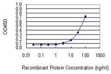UCK2 Antibody - Detection limit for recombinant GST tagged UCK2 is 1 ng/ml as a capture antibody.