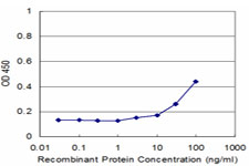 UCP1 / UCP-1 Antibody - Detection limit for recombinant GST tagged UCP1 is approximately 3 ng/ml as a capture antibody.
