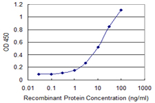 UGCG Antibody - Detection limit for recombinant GST tagged UGCG is 0.3 ng/ml as a capture antibody.