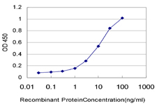 UGP2 Antibody - Detection limit for recombinant GST tagged UGP2 is approximately 0.1 ng/ml as a capture antibody.