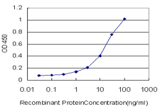 UGT2B10 Antibody - Detection limit for recombinant GST tagged UGT2B10 is approximately 0.3 ng/ml as a capture antibody.
