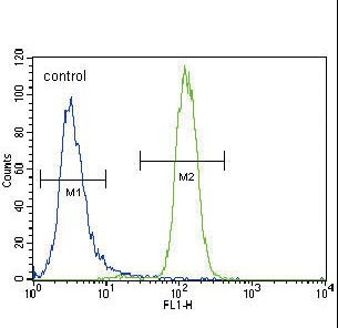 UGT2B15 Antibody - UGT2B15 Antibody flow cytometry of NCI-H460 cells (right histogram) compared to a negative control cell (left histogram). FITC-conjugated goat-anti-rabbit secondary antibodies were used for the analysis.