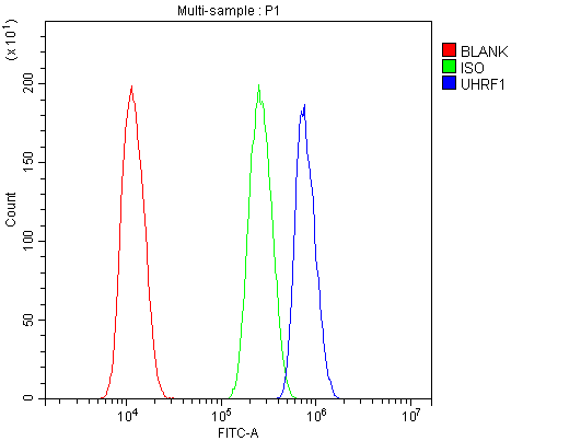 UHRF1 Antibody - Flow Cytometry analysis of U20S cells using anti-UHRF1 antibody. Overlay histogram showing U20S cells stained with anti-UHRF1 antibody (Blue line). The cells were blocked with 10% normal goat serum. And then incubated with rabbit anti-UHRF1 Antibody (1µg/10E6 cells) for 30 min at 20°C. DyLight®488 conjugated goat anti-rabbit IgG (5-10µg/10E6 cells) was used as secondary antibody for 30 minutes at 20°C. Isotype control antibody (Green line) was rabbit IgG (1µg/10E6 cells) used under the same conditions. Unlabelled sample (Red line) was also used as a control.